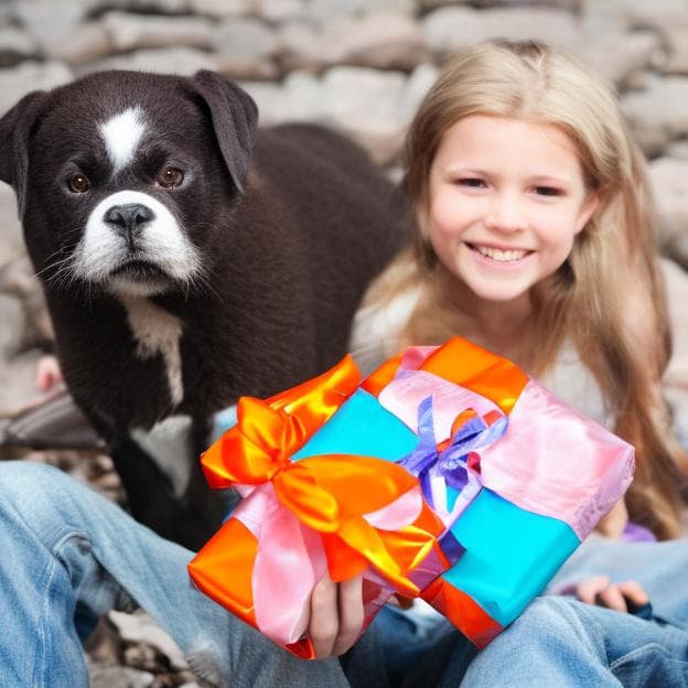 Aspca Donation Gift A Gift Of Kindness